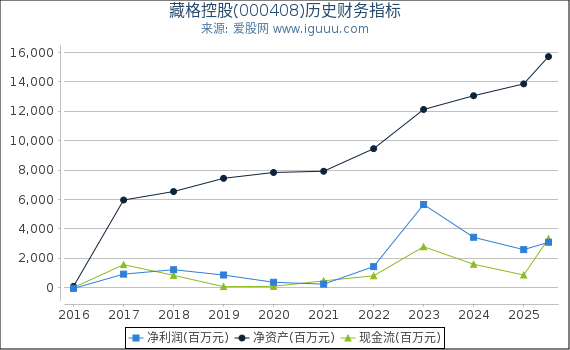 藏格控股(000408)股东权益比率、固定资产比率等历史财务指标图