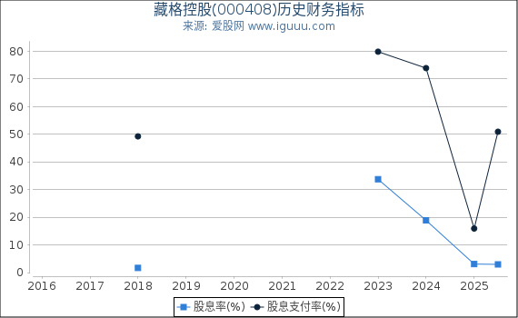 藏格控股(000408)股东权益比率、固定资产比率等历史财务指标图