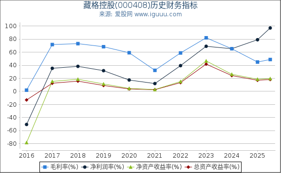 藏格控股(000408)股东权益比率、固定资产比率等历史财务指标图