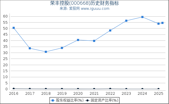 荣丰控股(000668)股东权益比率、固定资产比率等历史财务指标图