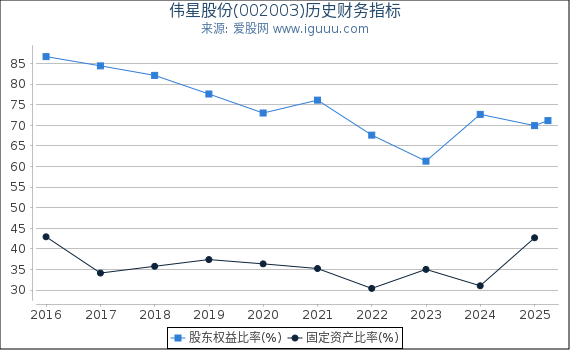 伟星股份(002003)股东权益比率、固定资产比率等历史财务指标图