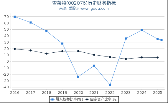 雪莱特(002076)股东权益比率、固定资产比率等历史财务指标图