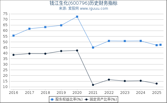 钱江生化(600796)股东权益比率、固定资产比率等历史财务指标图
