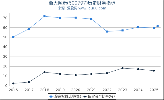 浙大网新(600797)股东权益比率、固定资产比率等历史财务指标图