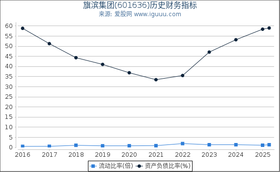 旗滨集团(601636)股东权益比率、固定资产比率等历史财务指标图
