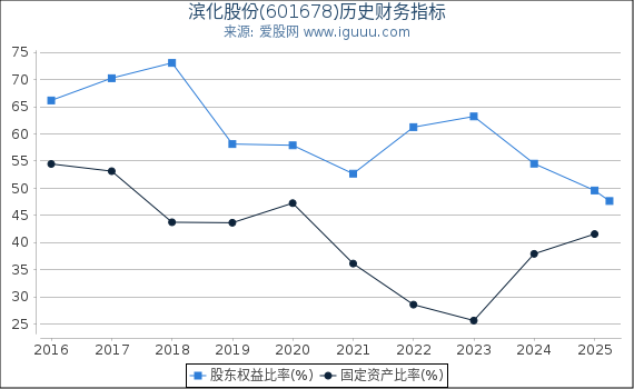滨化股份(601678)股东权益比率、固定资产比率等历史财务指标图