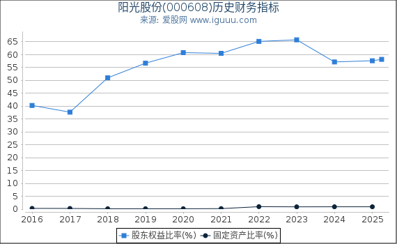 阳光股份(000608)股东权益比率、固定资产比率等历史财务指标图