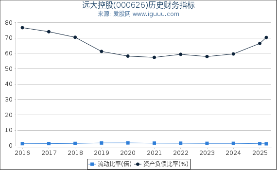 远大控股(000626)股东权益比率、固定资产比率等历史财务指标图