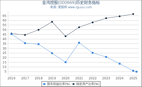 金鸿控股(000669)股东权益比率、固定资产比率等历史财务指标图