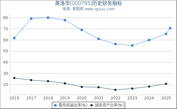 英洛华(000795)股东权益比率、固定资产比率等历史财务指标图