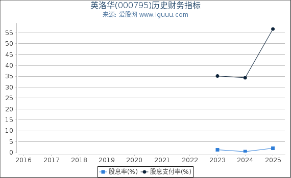 英洛华(000795)股东权益比率、固定资产比率等历史财务指标图