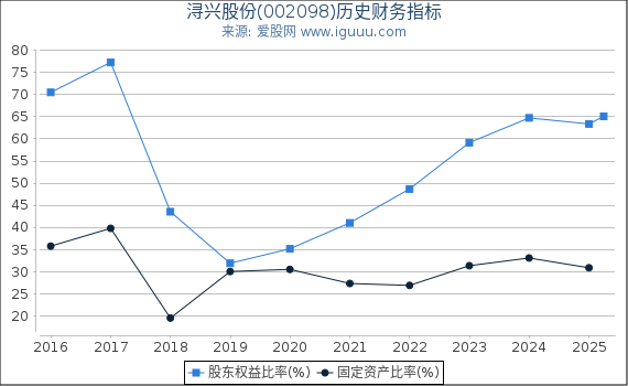 浔兴股份(002098)股东权益比率、固定资产比率等历史财务指标图