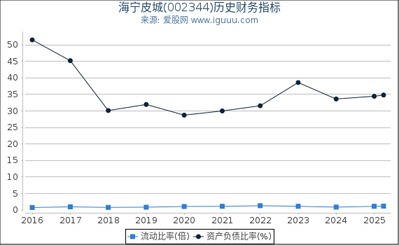 海宁皮城(002344)股东权益比率、固定资产比率等历史财务指标图