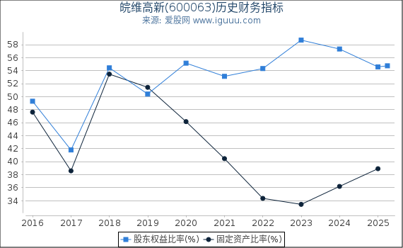皖维高新(600063)股东权益比率、固定资产比率等历史财务指标图