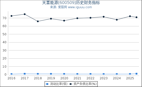 天富能源(600509)股东权益比率、固定资产比率等历史财务指标图
