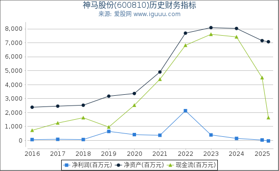 神马股份(600810)股东权益比率、固定资产比率等历史财务指标图