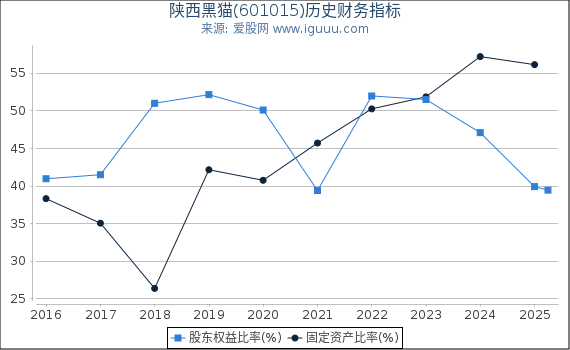 陕西黑猫(601015)股东权益比率、固定资产比率等历史财务指标图