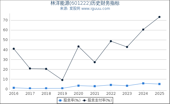 林洋能源(601222)股东权益比率、固定资产比率等历史财务指标图
