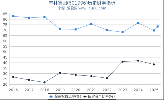 丰林集团(601996)股东权益比率、固定资产比率等历史财务指标图