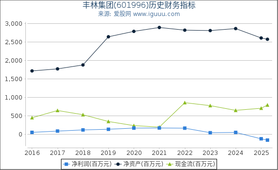 丰林集团(601996)股东权益比率、固定资产比率等历史财务指标图