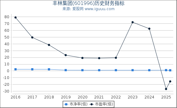 丰林集团(601996)股东权益比率、固定资产比率等历史财务指标图